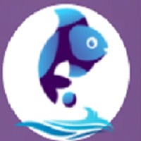 Web Development Company  - Fish Eye Advertising